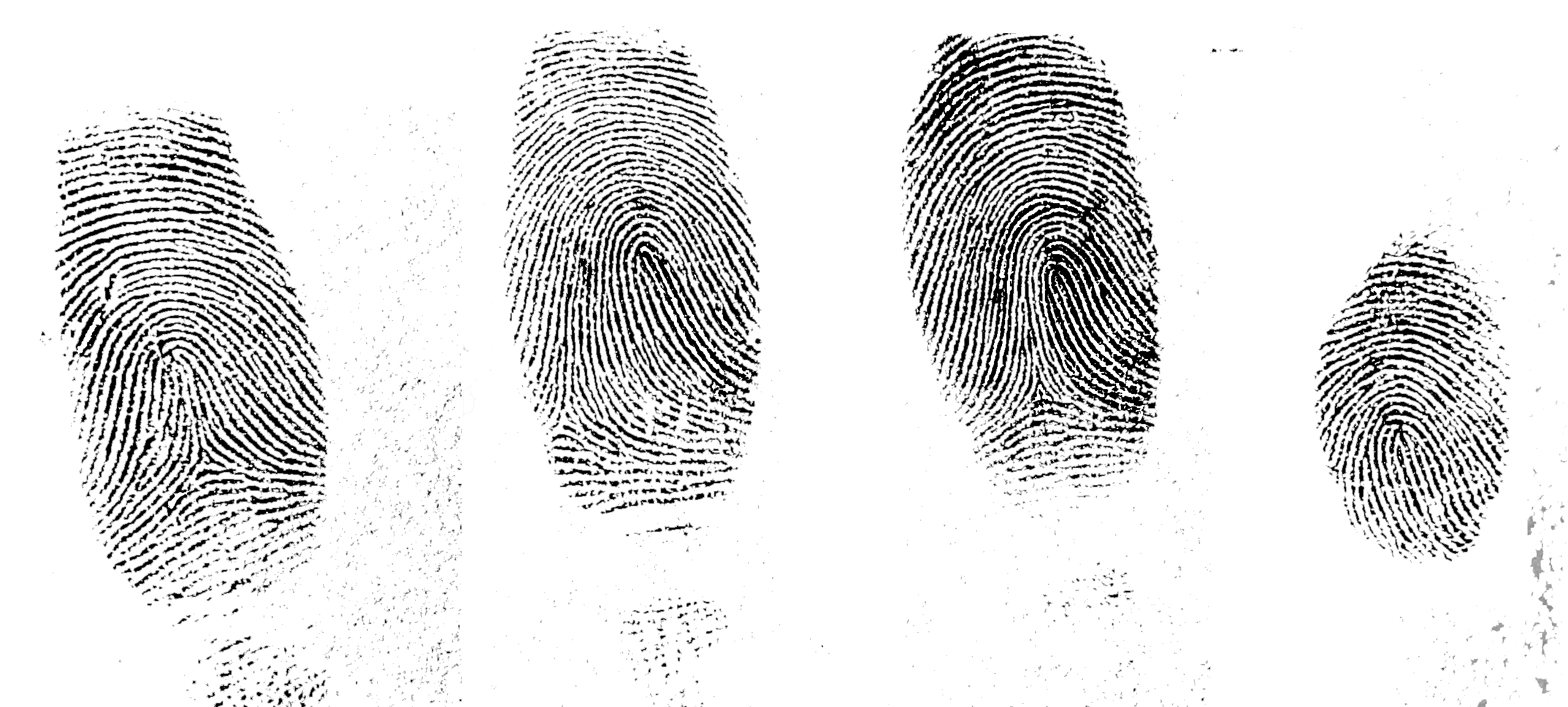 Отпечаток пальца руки криминалистика